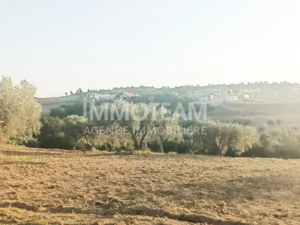 Terrain de 3000m2 Latrech Hammamet à vendre aux bir bouregba
